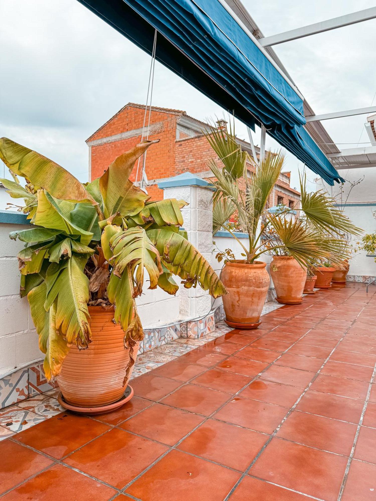 Casa Cruz Villa Almodóvar del Río Eksteriør billede